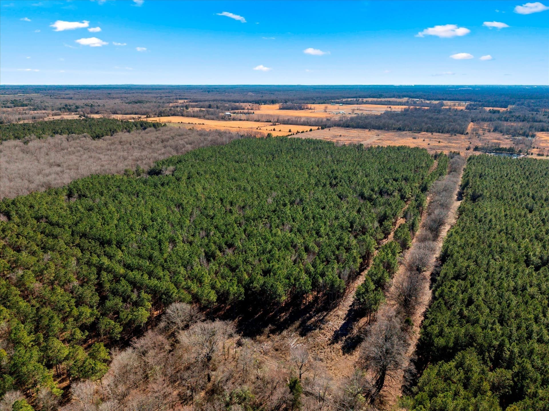 195 acres in Bowie County - photo 14