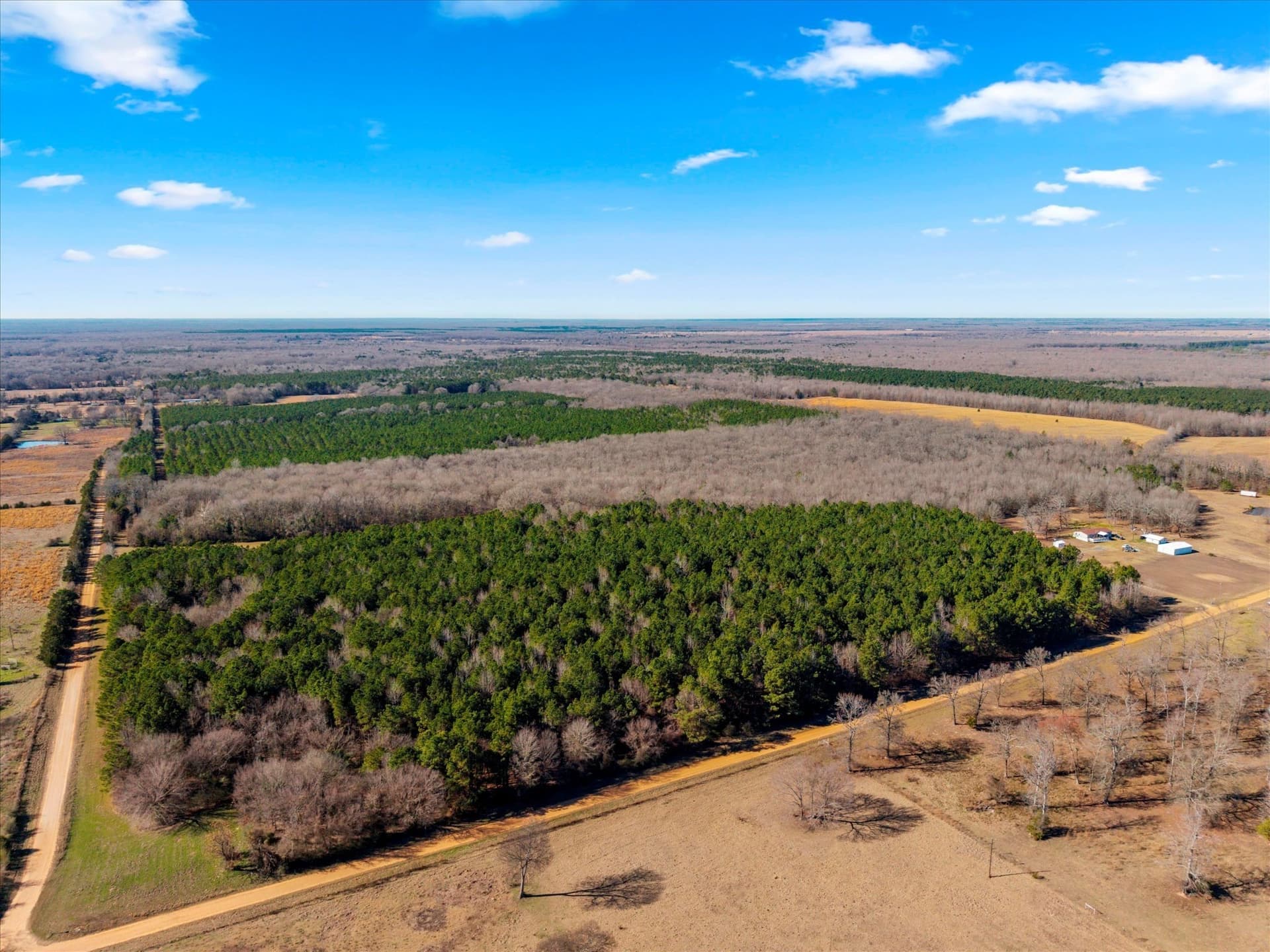 195 acres in Bowie County - photo 12