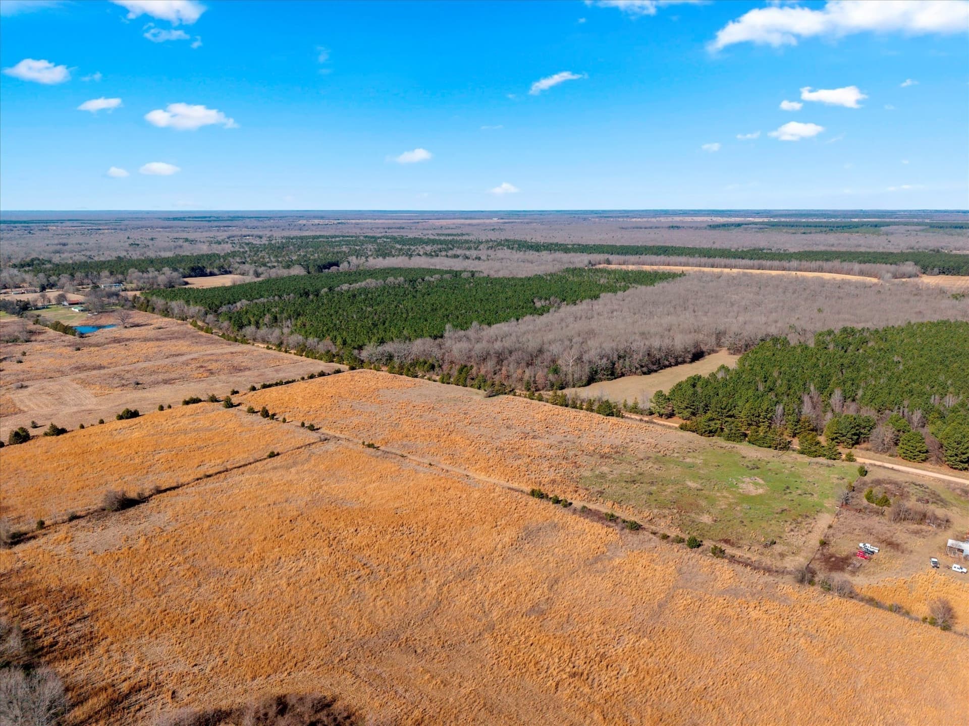 195 acres in Bowie County - photo 21