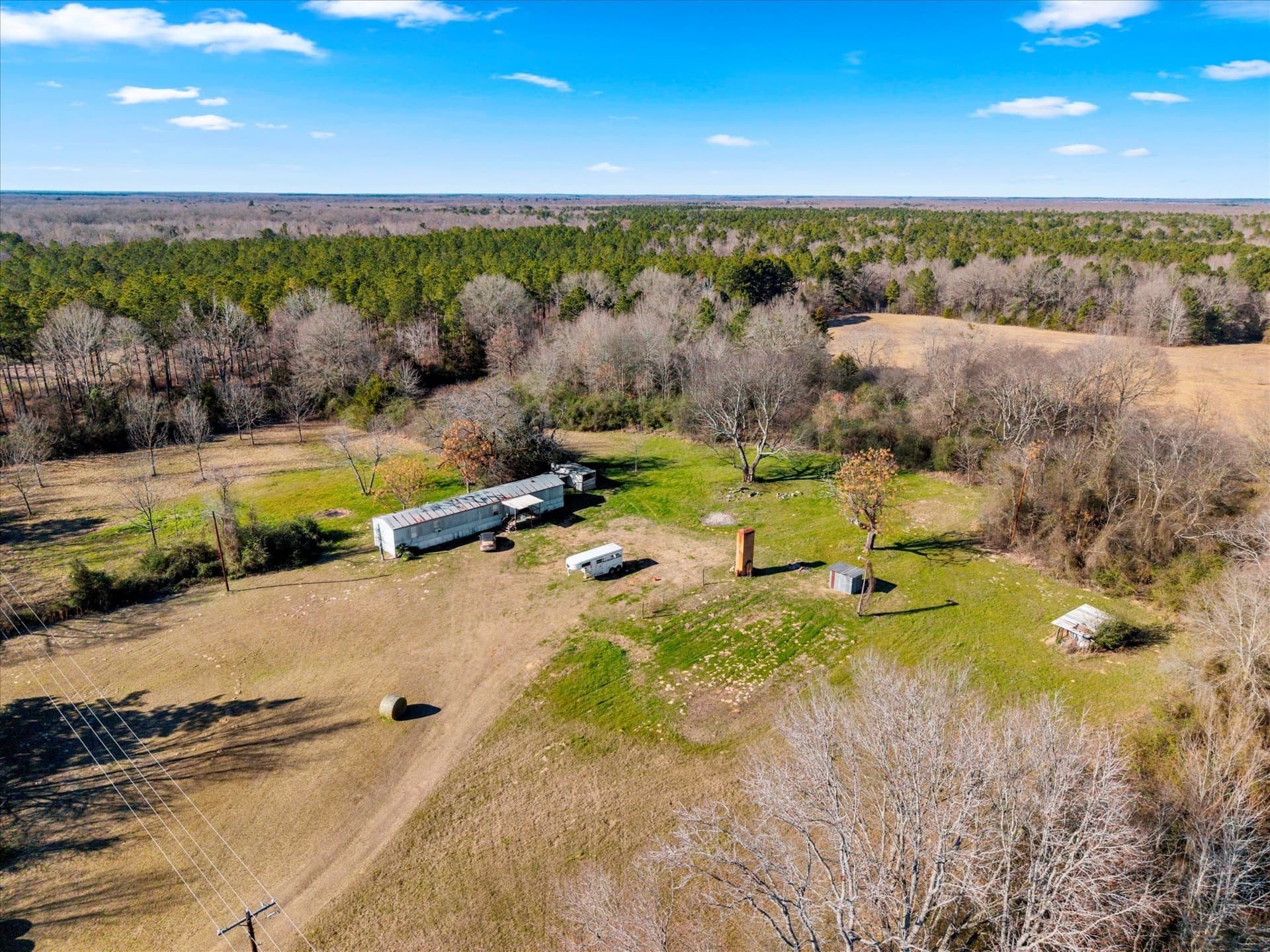 195 acres in Bowie County gallery image 2