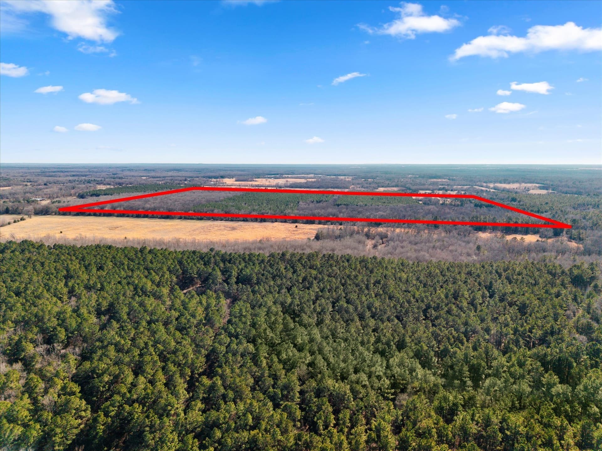 195 acres in Bowie County - photo 35