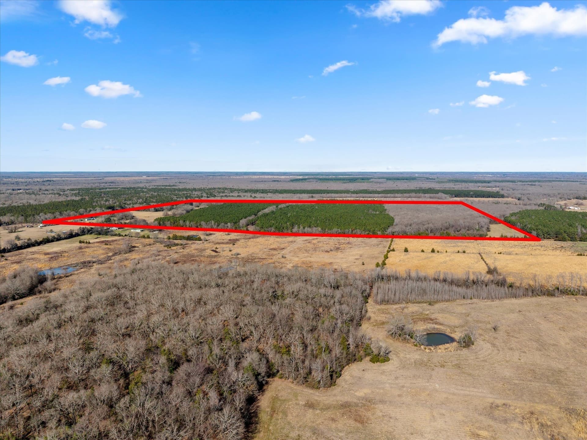 195 acres in Bowie County - photo 24