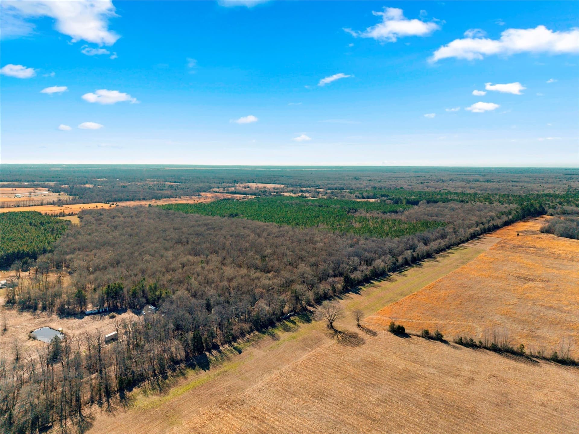 195 acres in Bowie County - photo 11