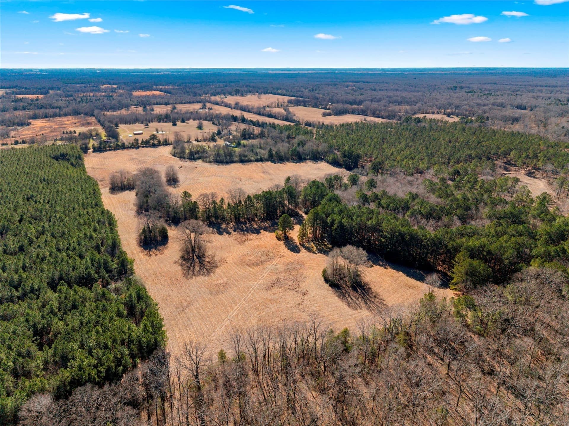 195 acres in Bowie County - photo 15