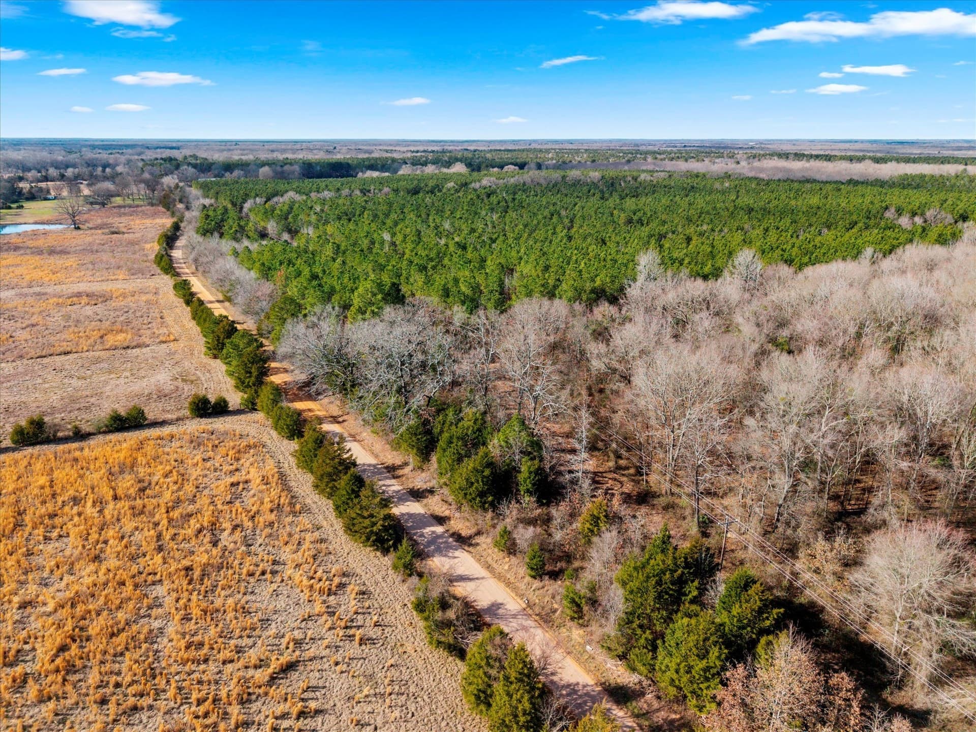195 acres in Bowie County featured view