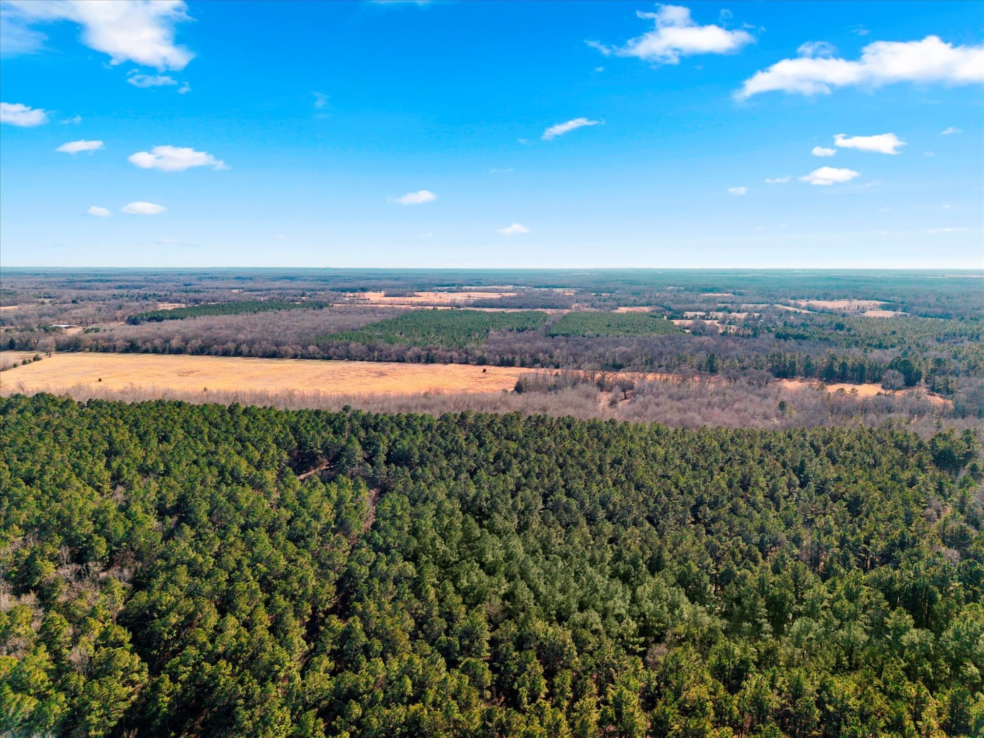 195 acres in Bowie County - photo 10