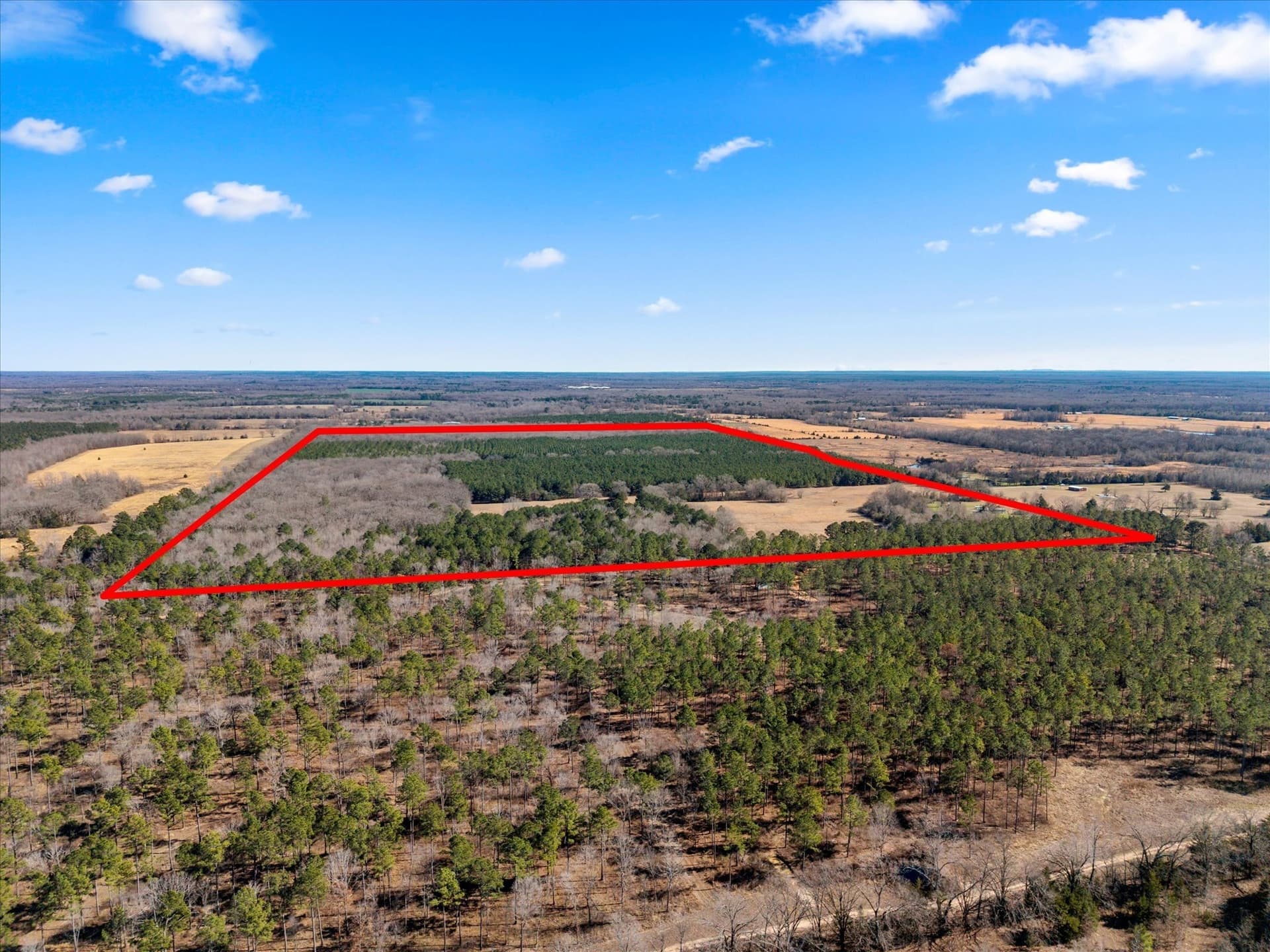 195 acres in Bowie County - photo 32