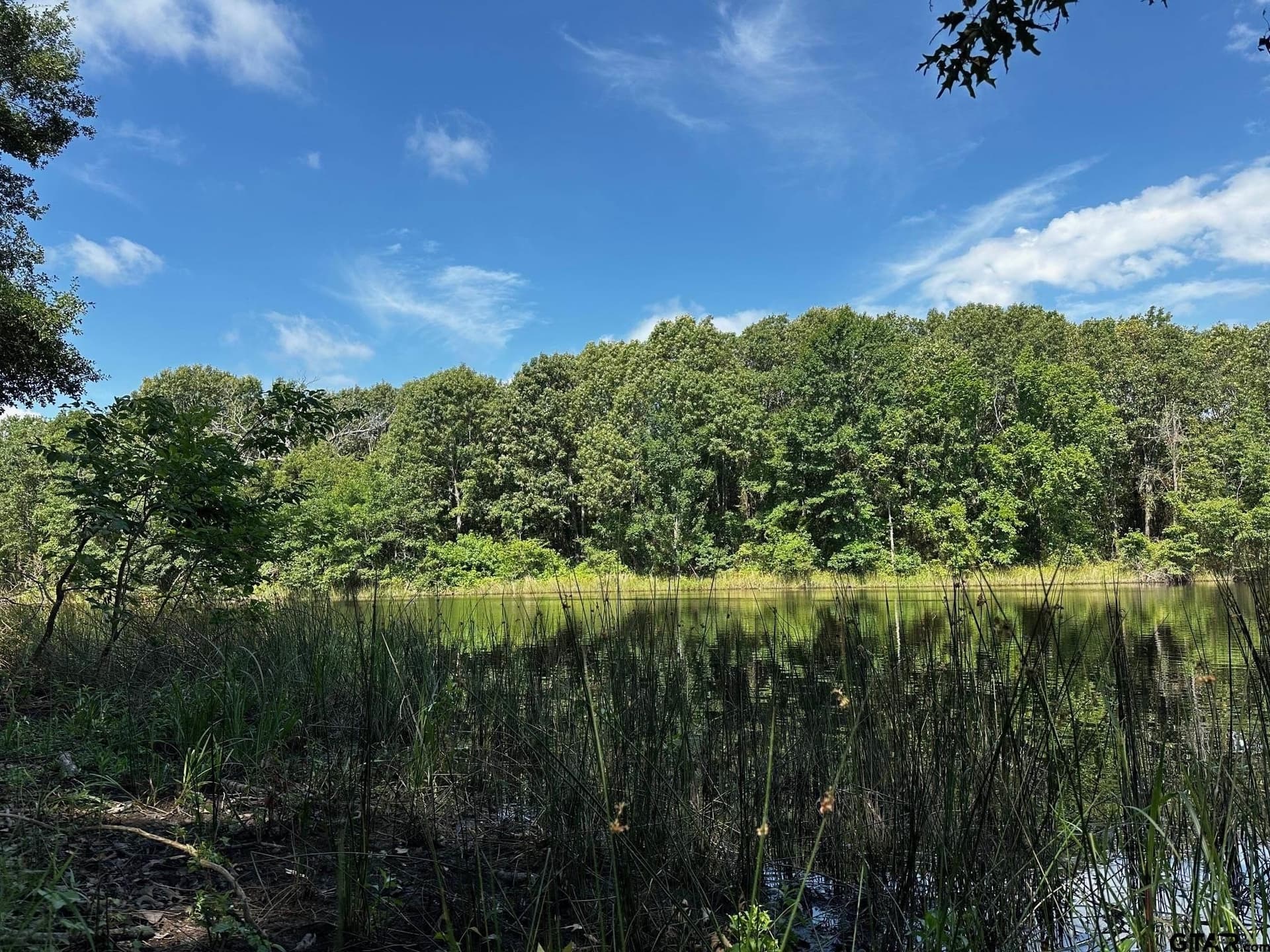 14.58 acres in Van Zandt County gallery image 4