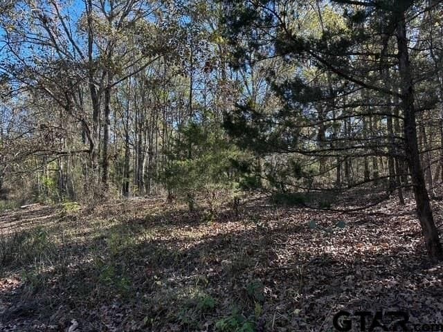 14.58 acres in Van Zandt County - photo 16