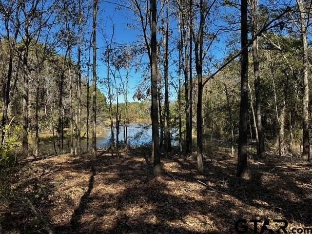 14.58 acres in Van Zandt County - photo 14