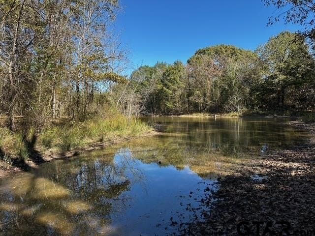 14.58 acres in Van Zandt County - photo 15