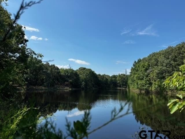 14.58 acres in Van Zandt County gallery image 3