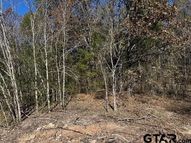 14.58 acres in Van Zandt County - photo 13