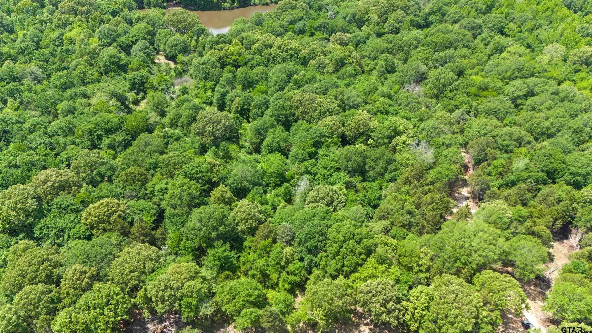 14.58 acres in Van Zandt County - photo 8