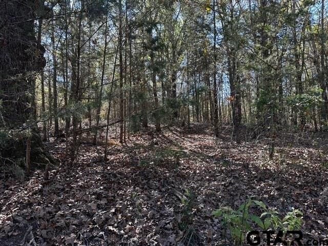 14.58 acres in Van Zandt County - photo 12