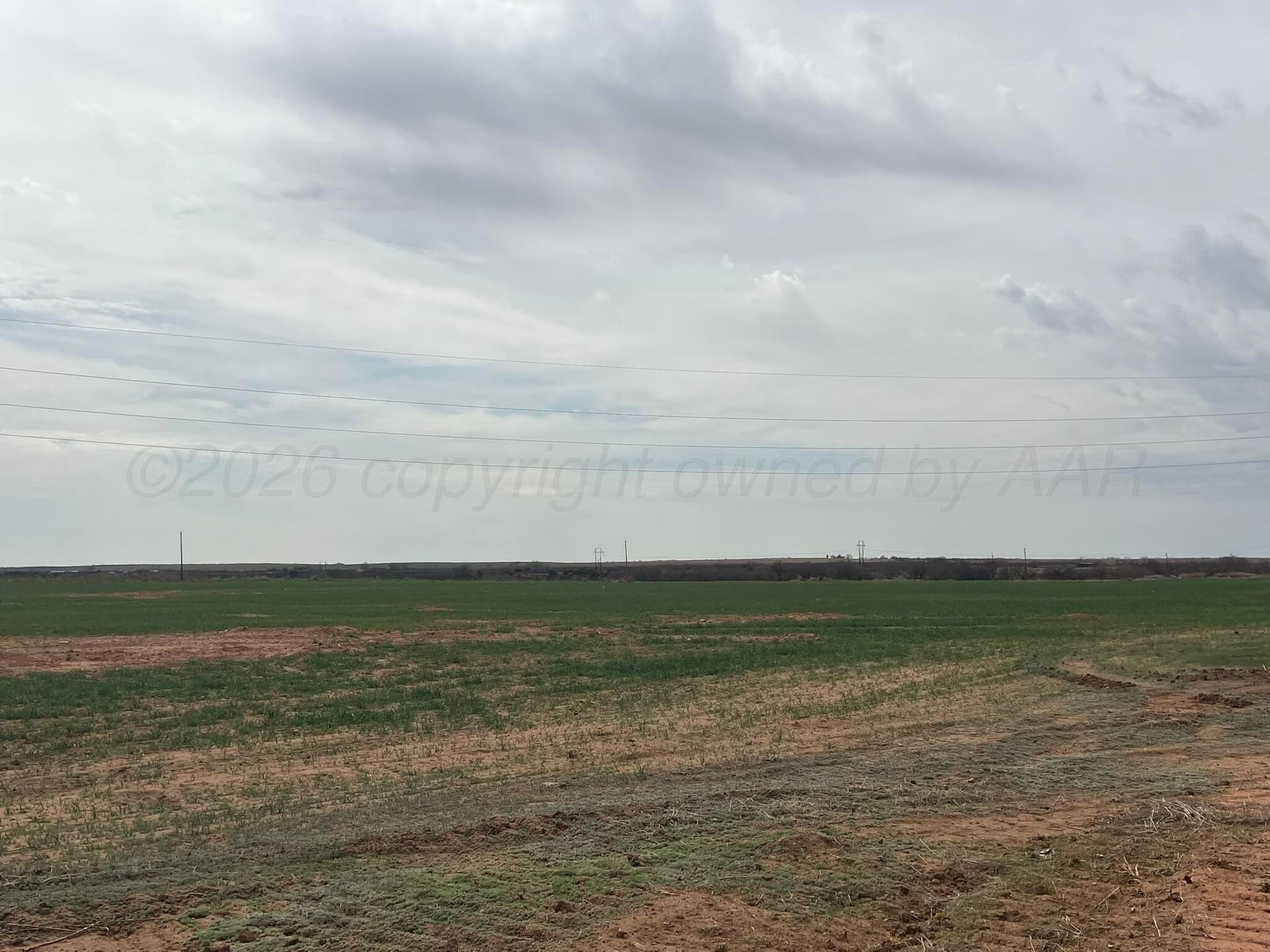 71 acres in Childress County featured view