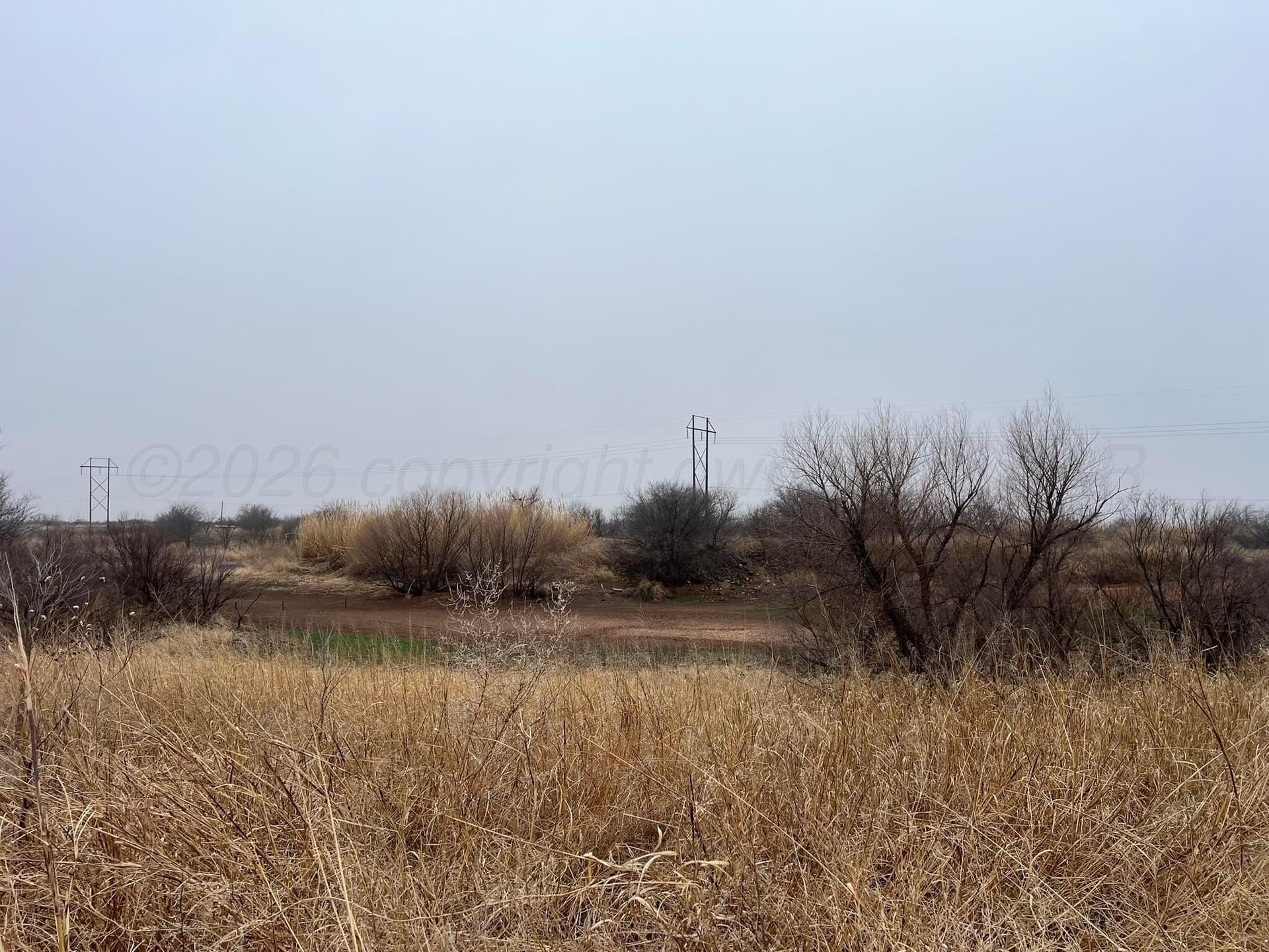 71 acres in Childress County - photo 12