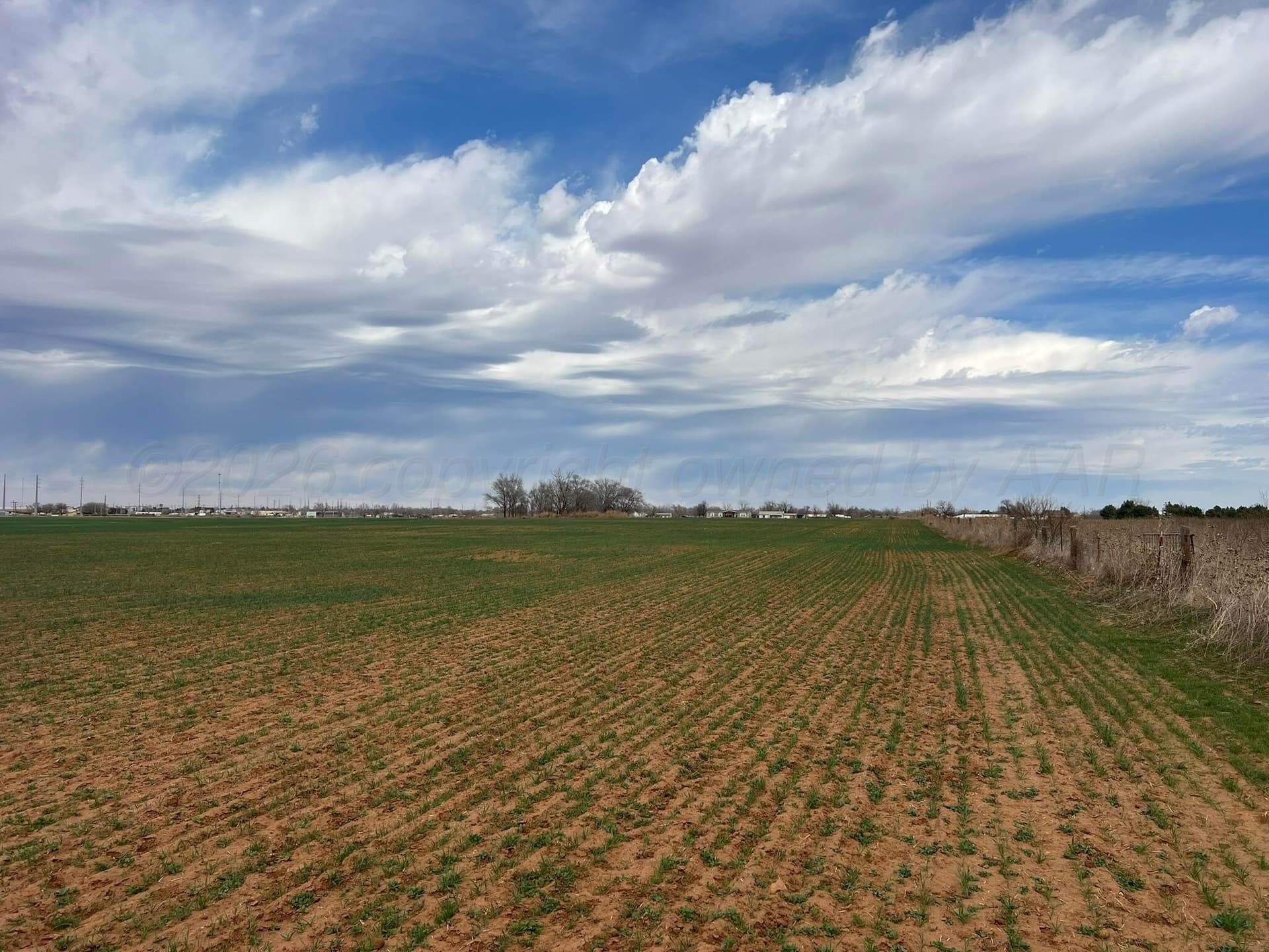71 acres in Childress County - photo 9
