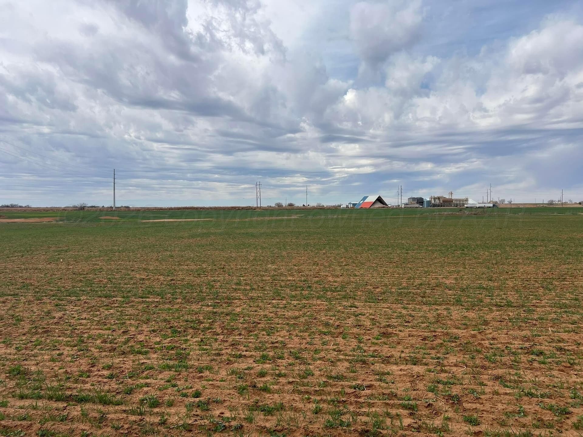 71 acres in Childress County - photo 11