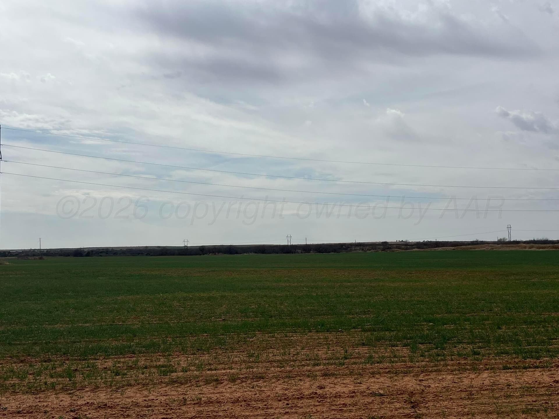 71 acres in Childress County - photo 6