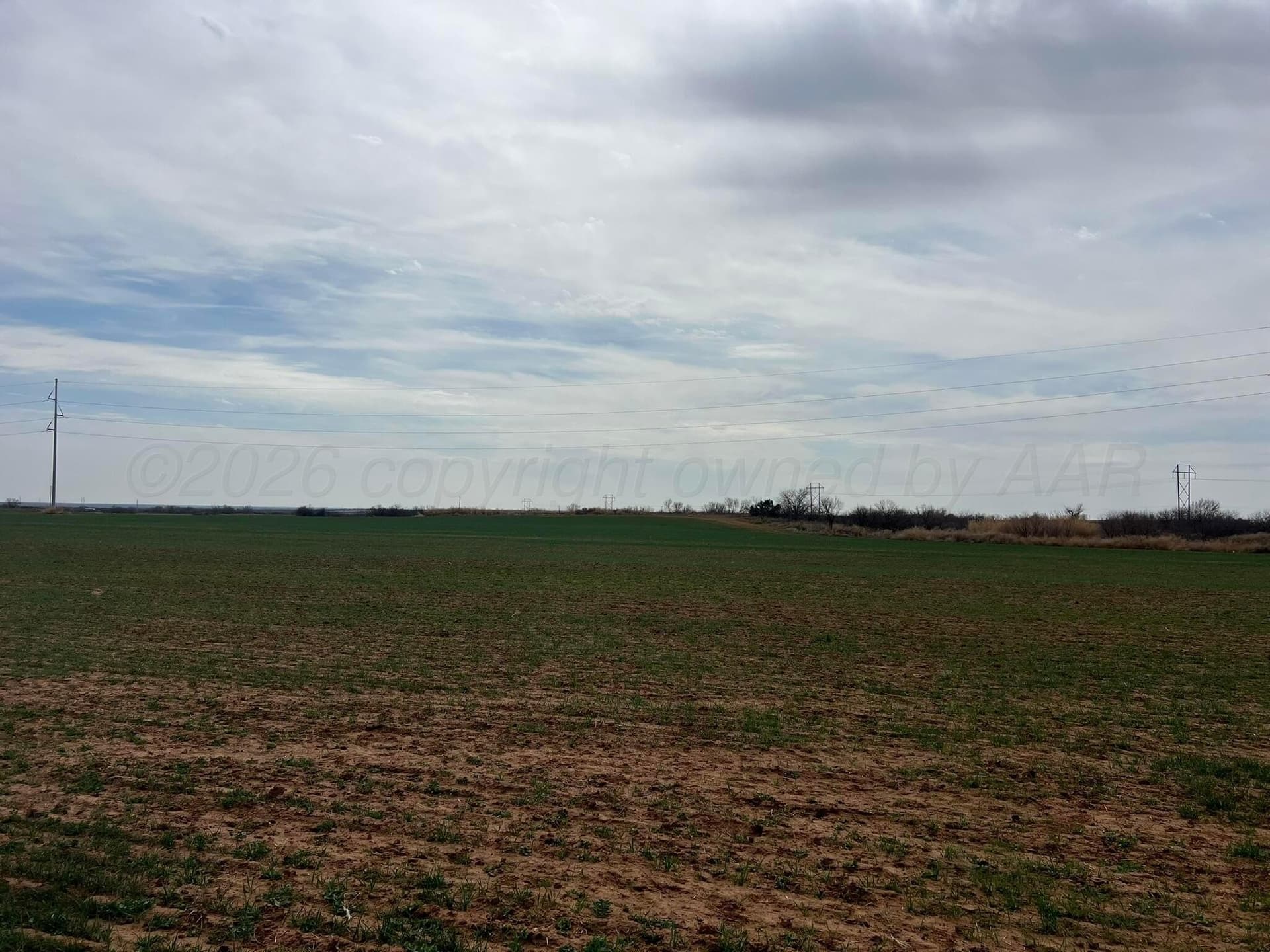71 acres in Childress County - photo 8