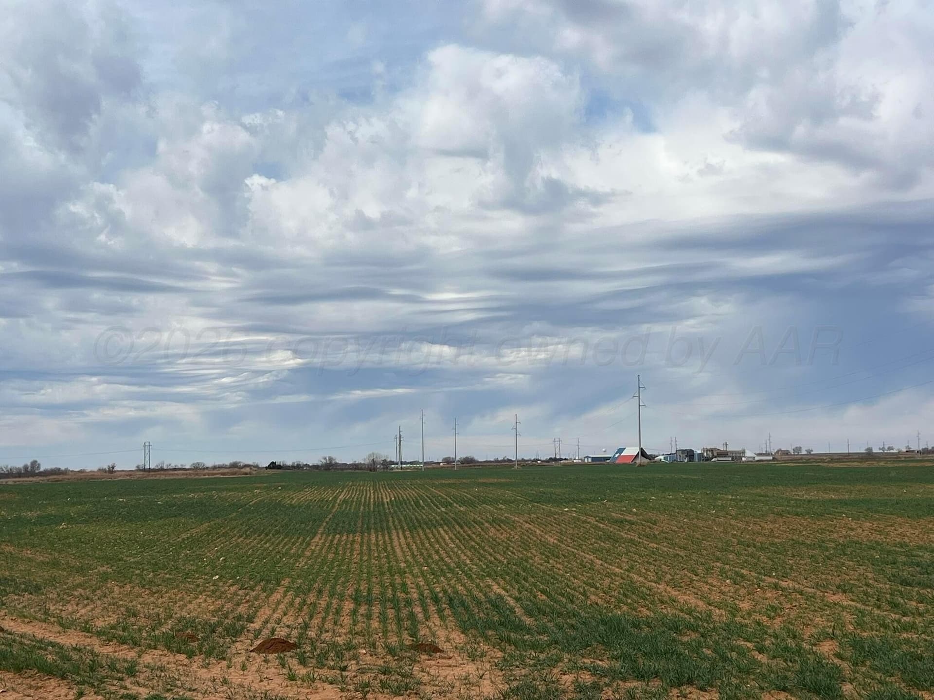 71 acres in Childress County gallery image 3