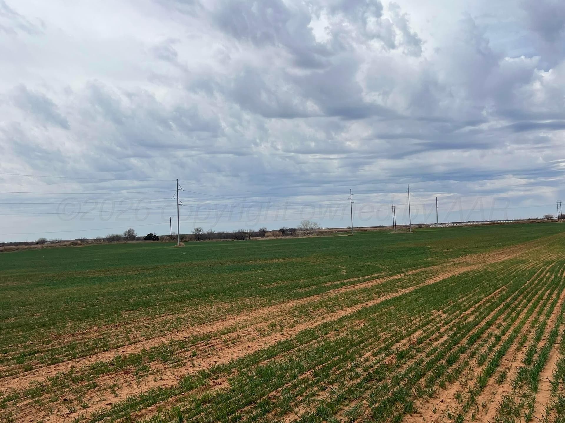 71 acres in Childress County - photo 7