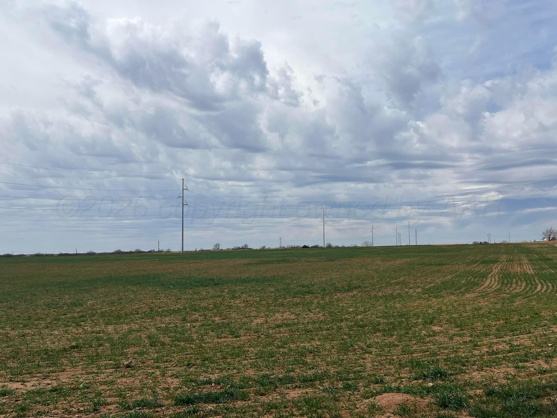 71 acres in Childress County gallery image 4