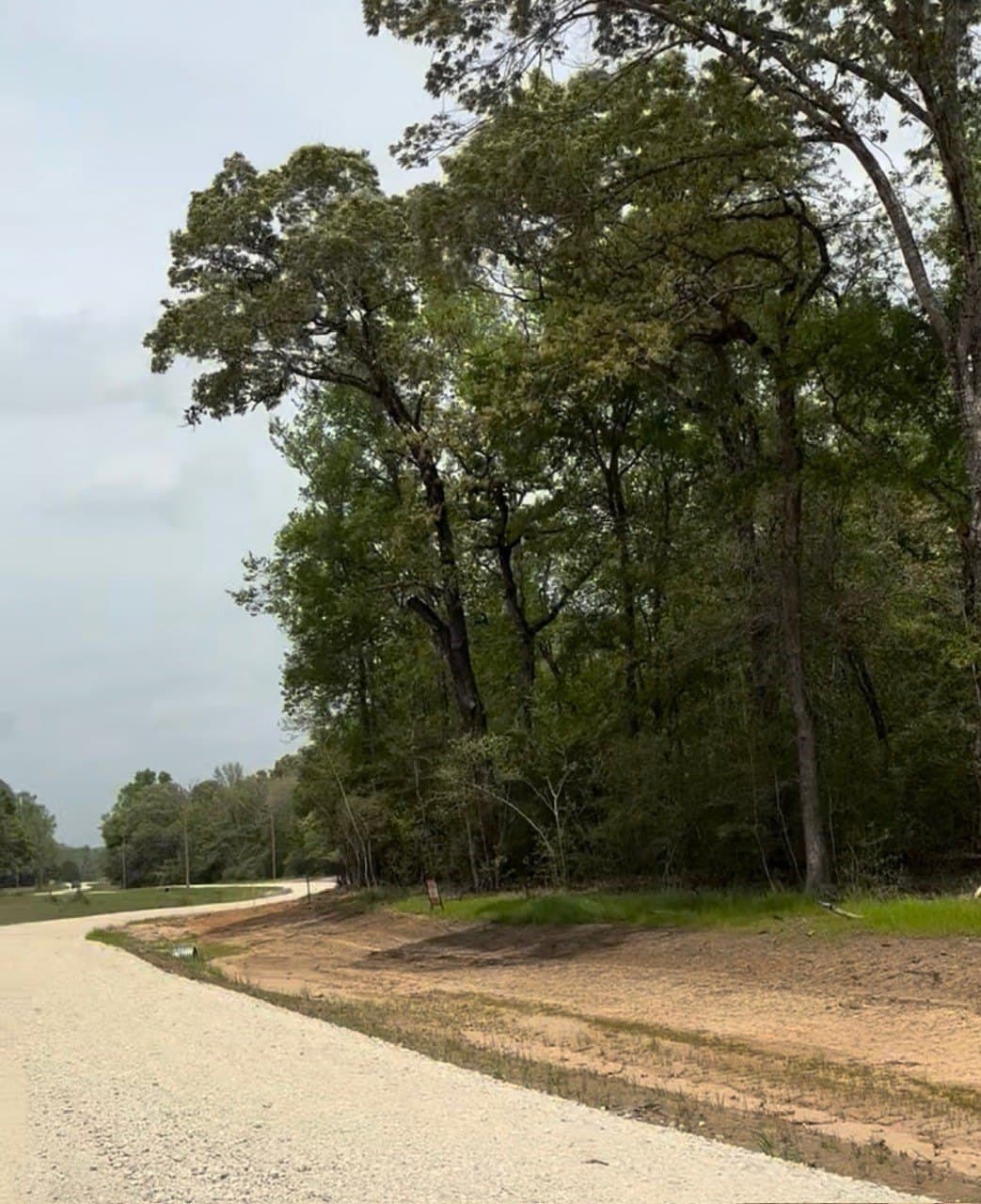 10.19 acres in Leon County - photo 7