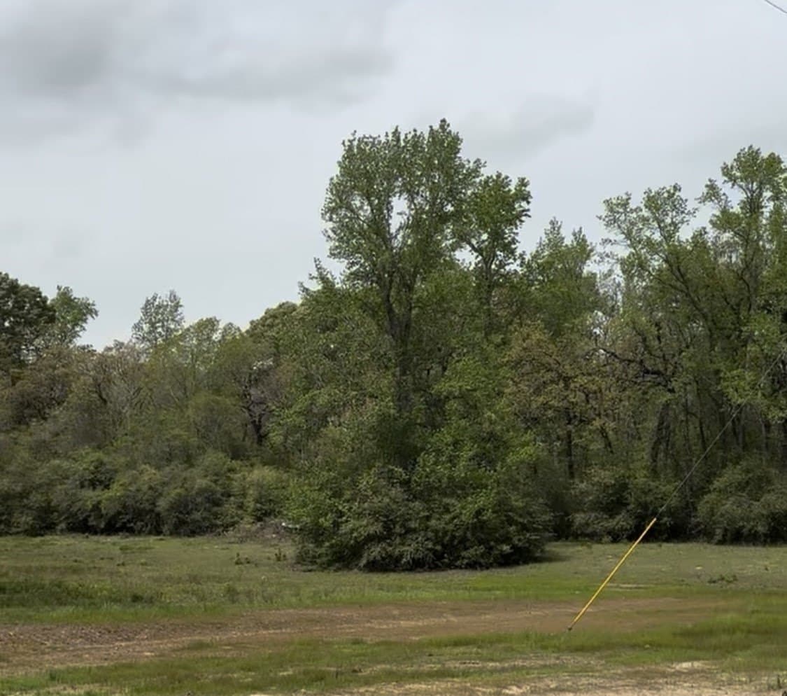 10.19 acres in Leon County gallery image 4