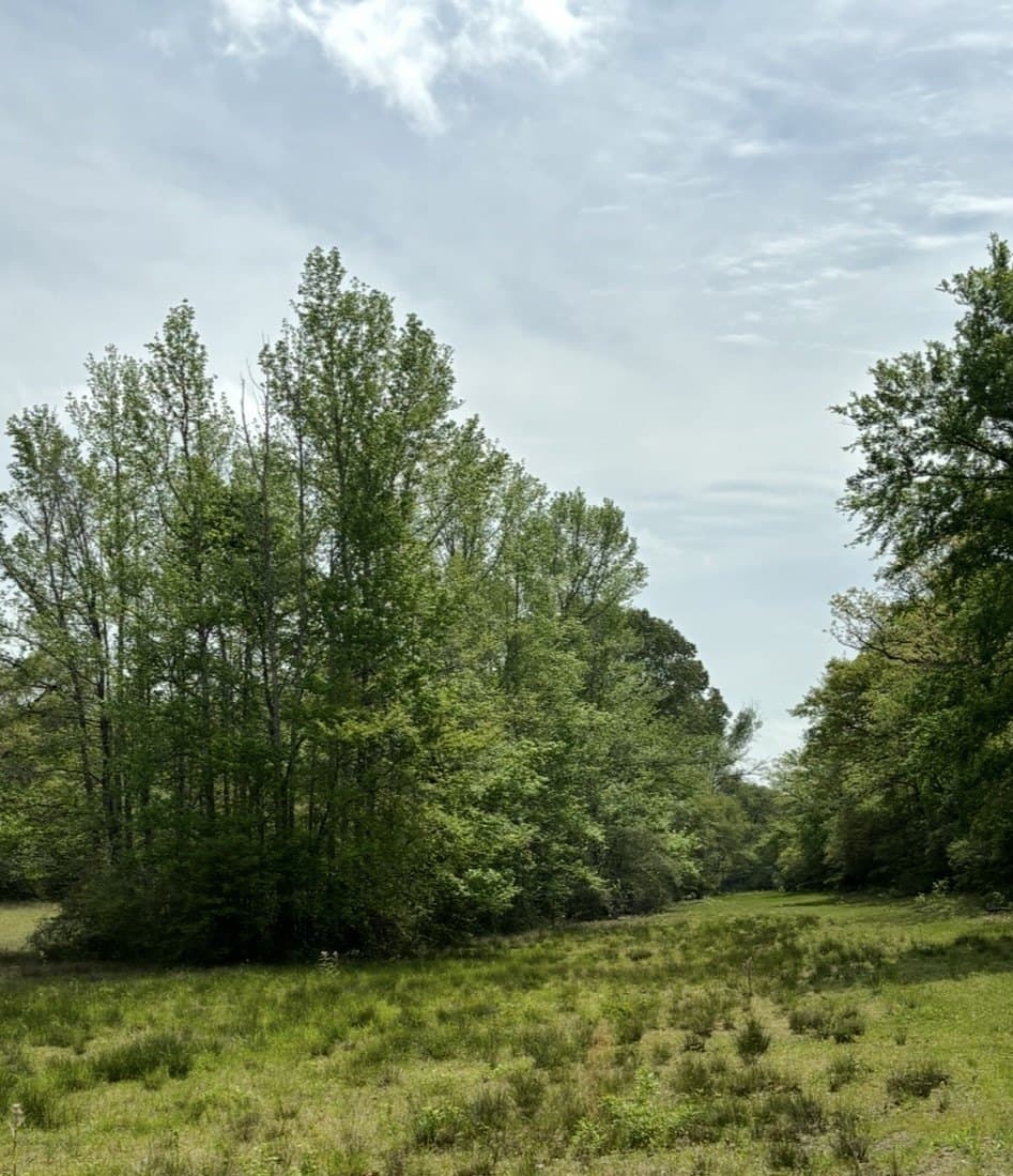 10.19 acres in Leon County - photo 6