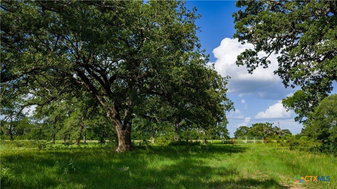 43.5 acres in Bastrop County gallery image 2