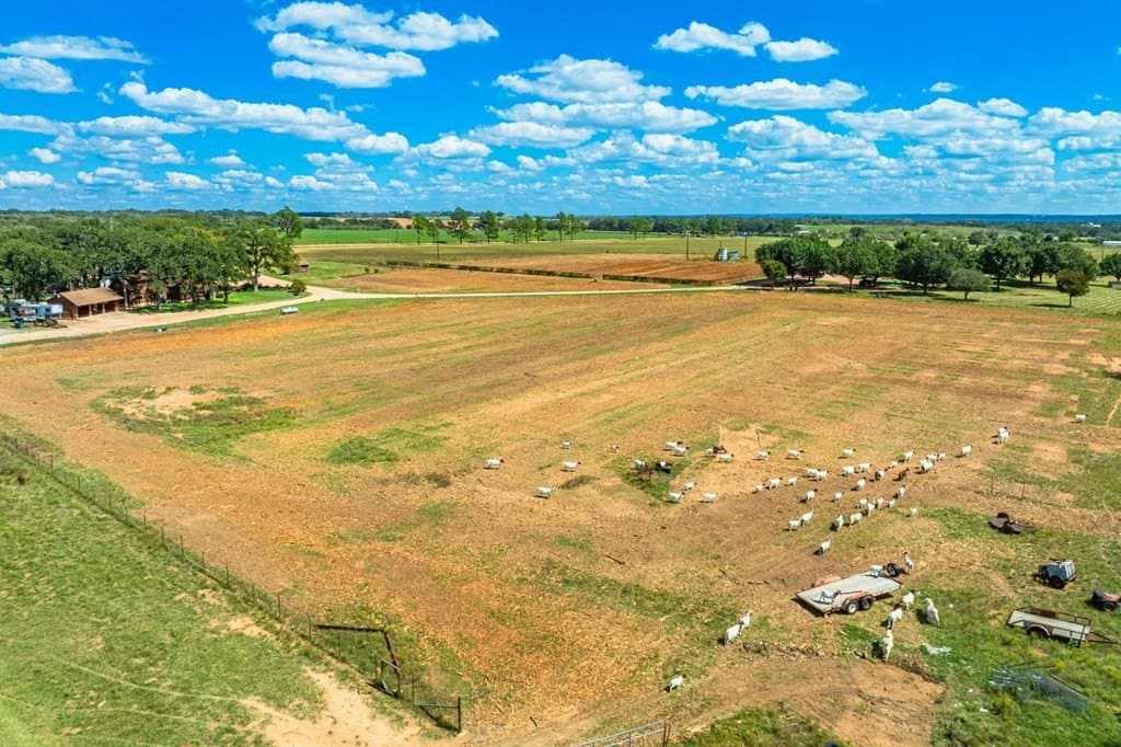 100.12 acres in Gillespie County - photo 7