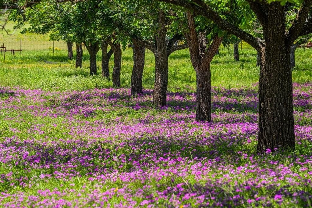 100.12 acres in Gillespie County - photo 65