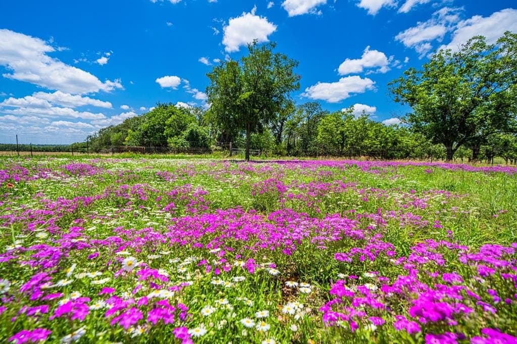 100.12 acres in Gillespie County - photo 60