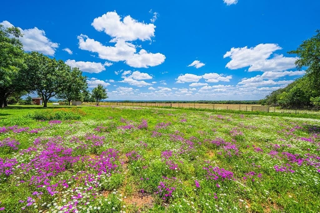 100.12 acres in Gillespie County - photo 61
