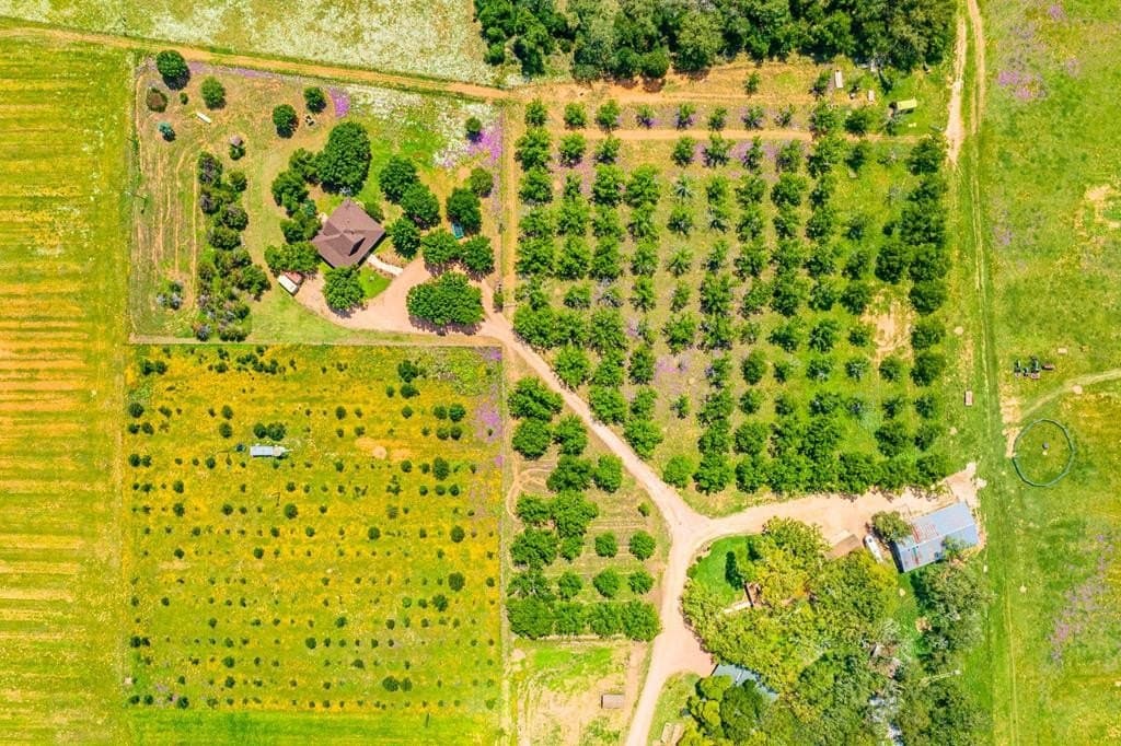 100.12 acres in Gillespie County - photo 73