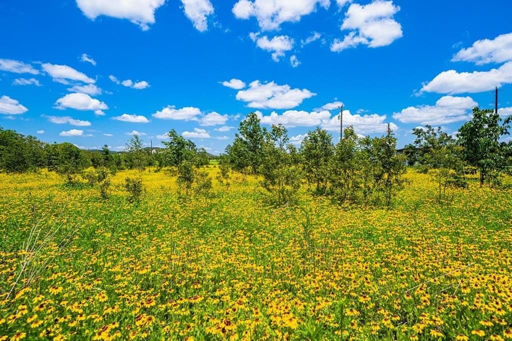 100.12 acres in Gillespie County - photo 63