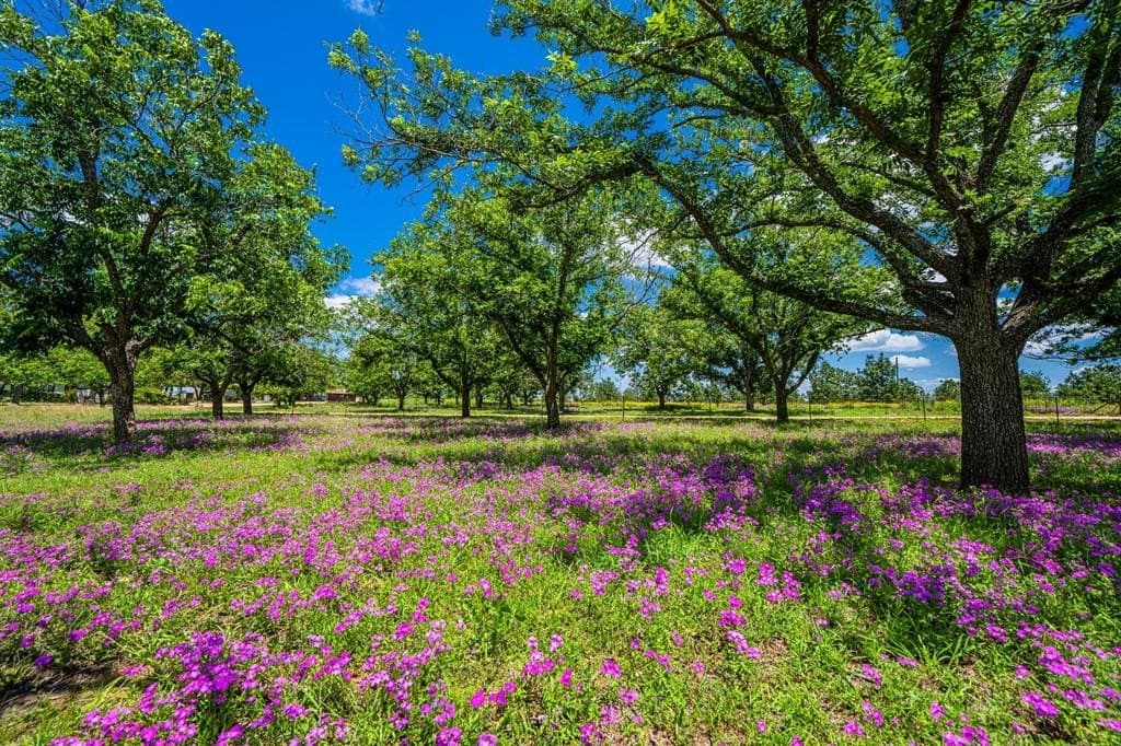 100.12 acres in Gillespie County - photo 66