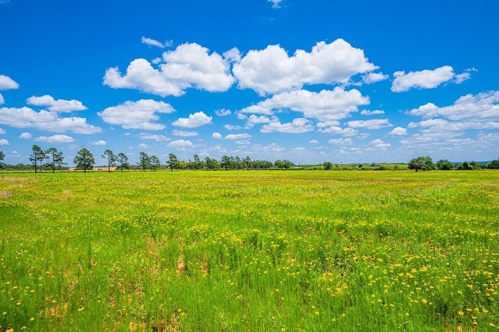 100.12 acres in Gillespie County - photo 64