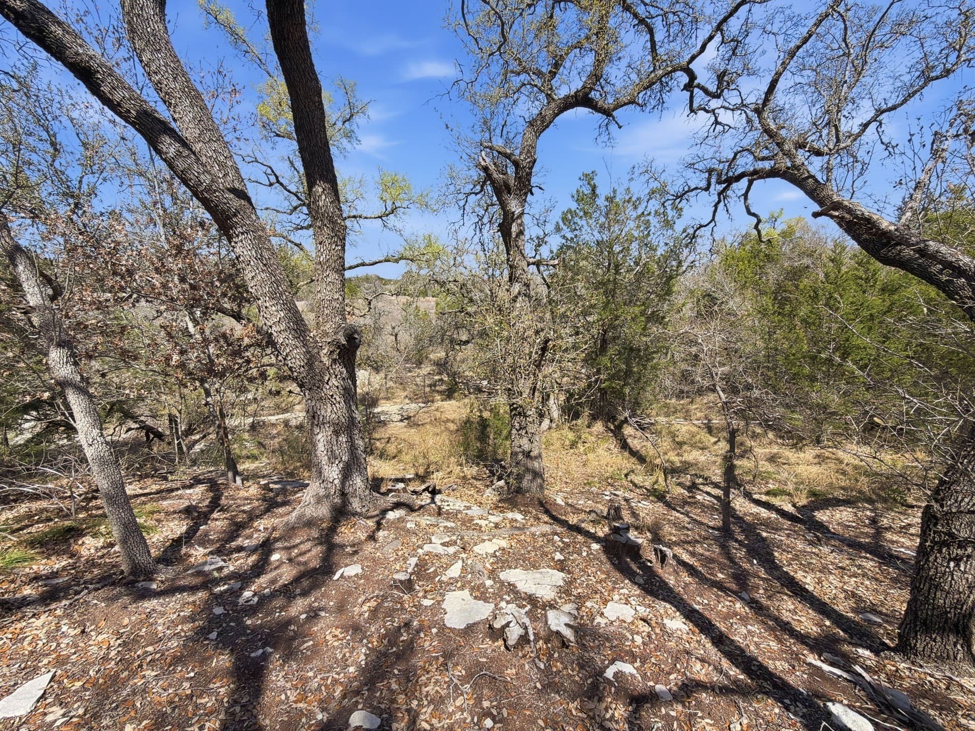 10.51 acres in Hamilton County - photo 18