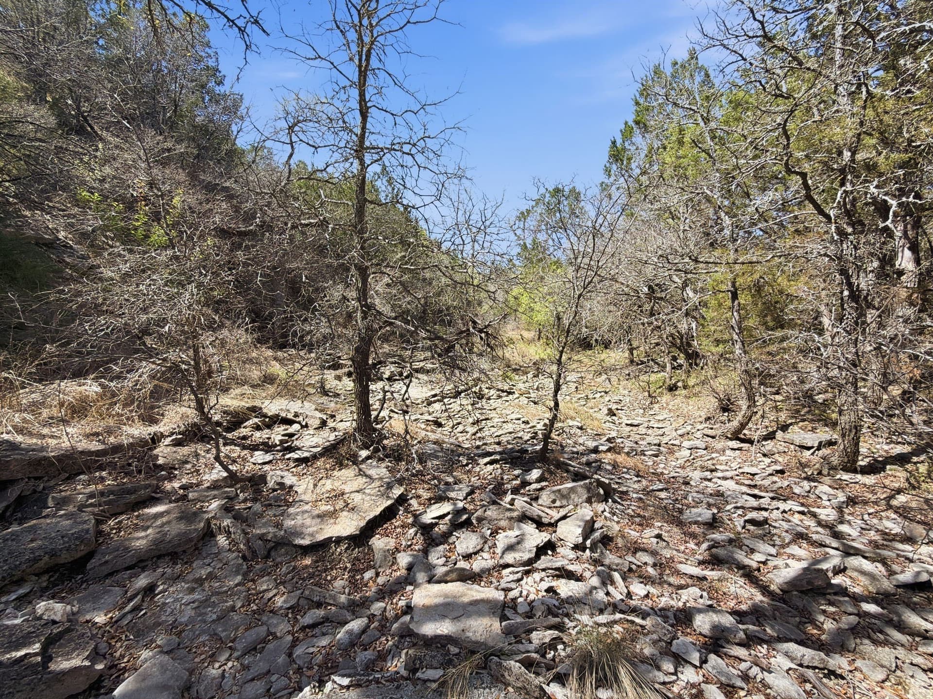 10.51 acres in Hamilton County - photo 9