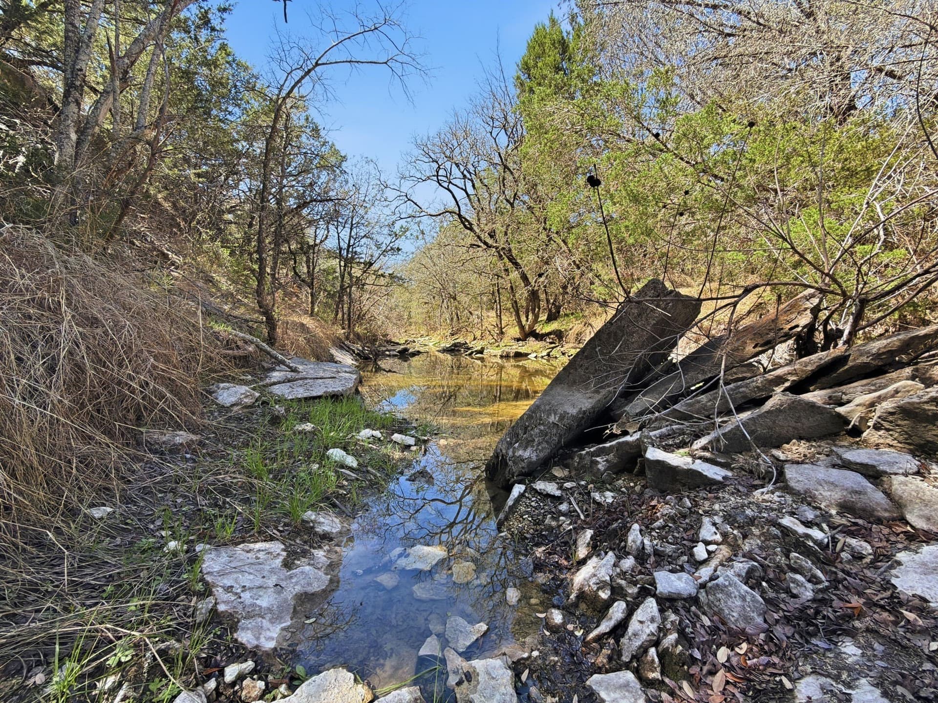 10.51 acres in Hamilton County - photo 10