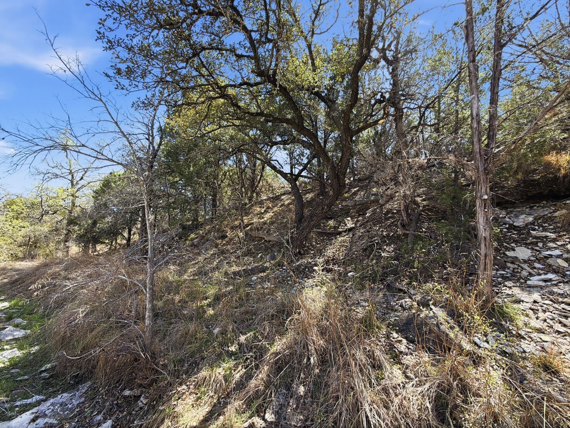 10.51 acres in Hamilton County - photo 11