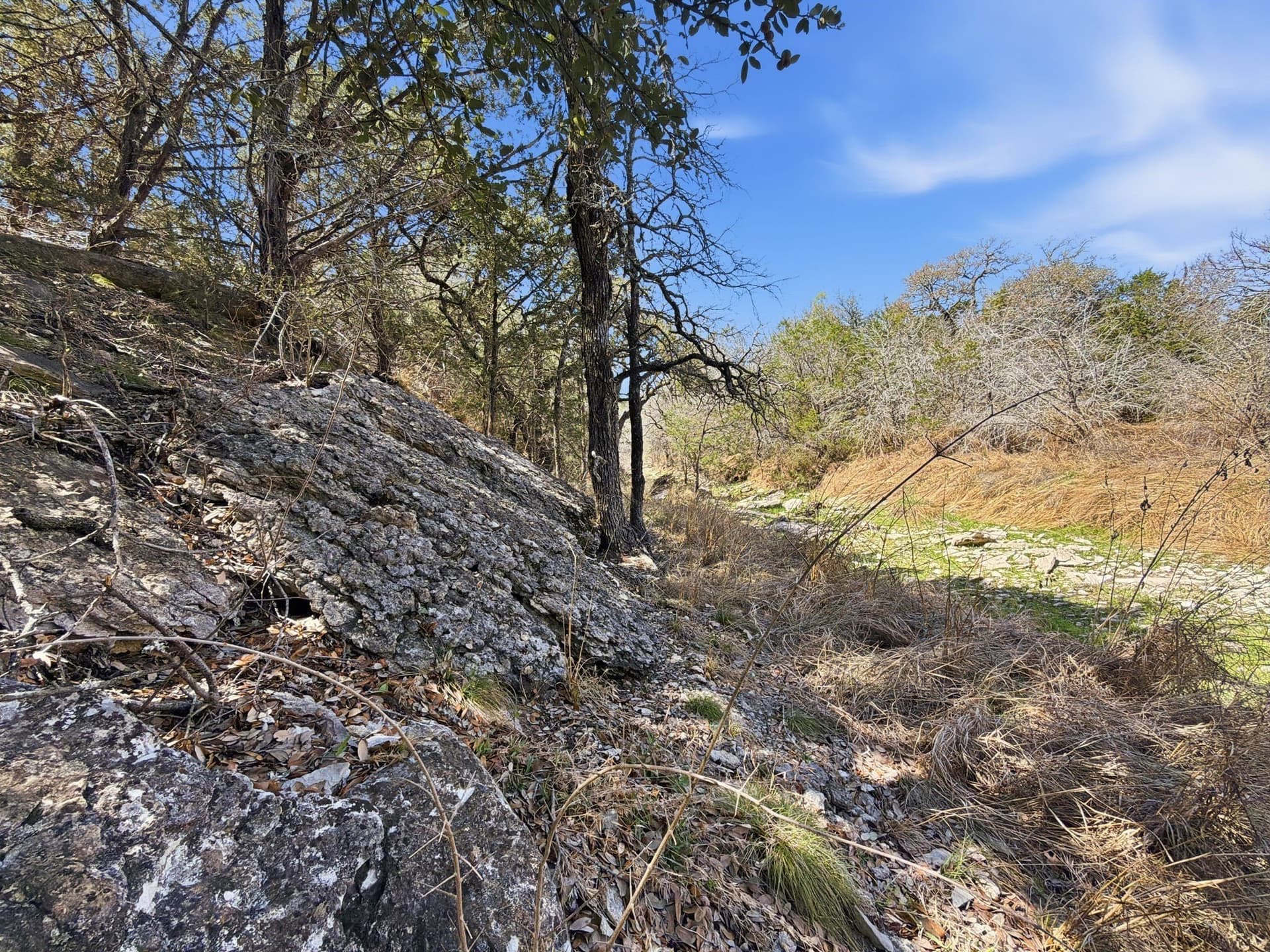 10.51 acres in Hamilton County - photo 13
