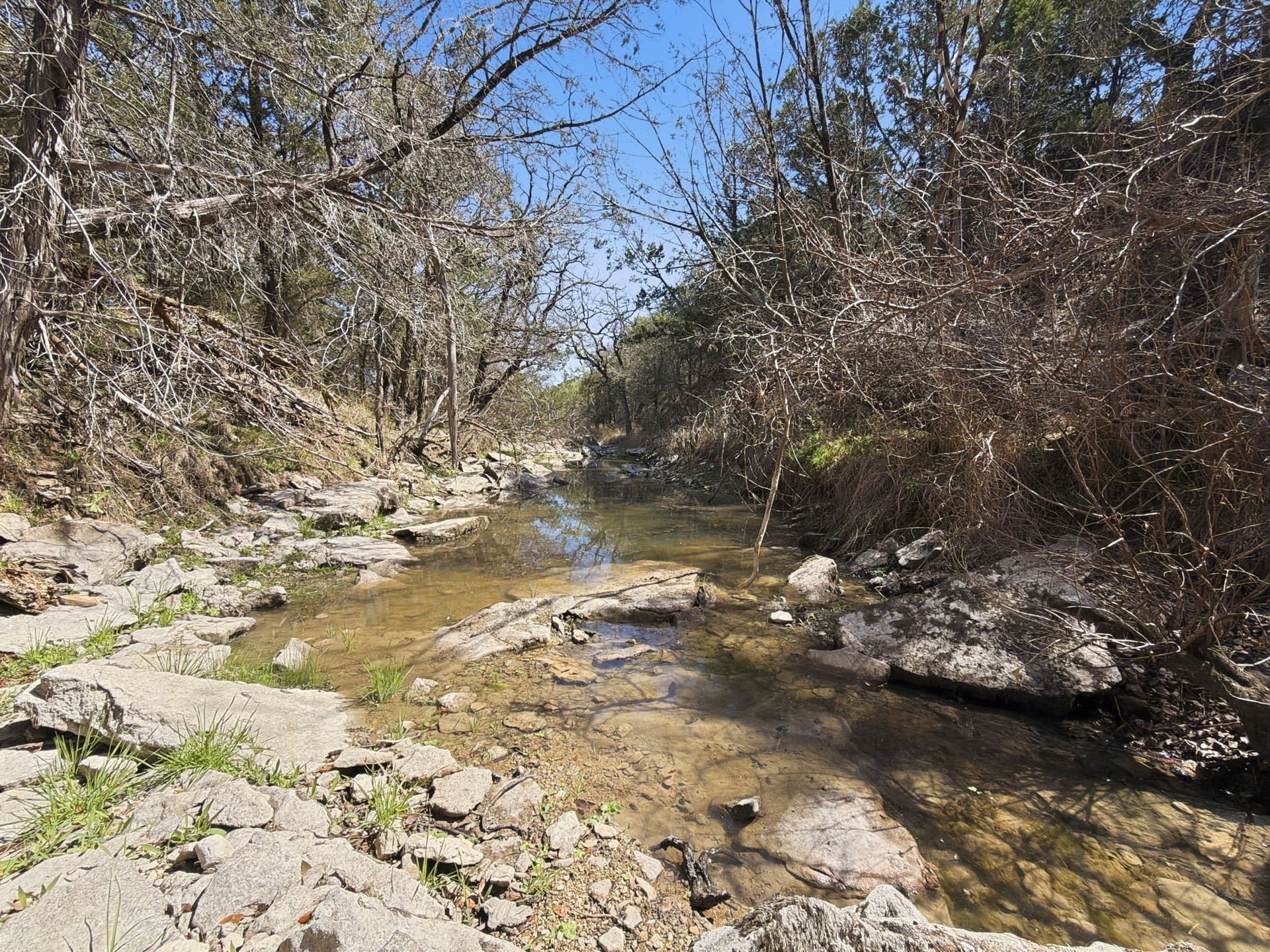 10.51 acres in Hamilton County - photo 8