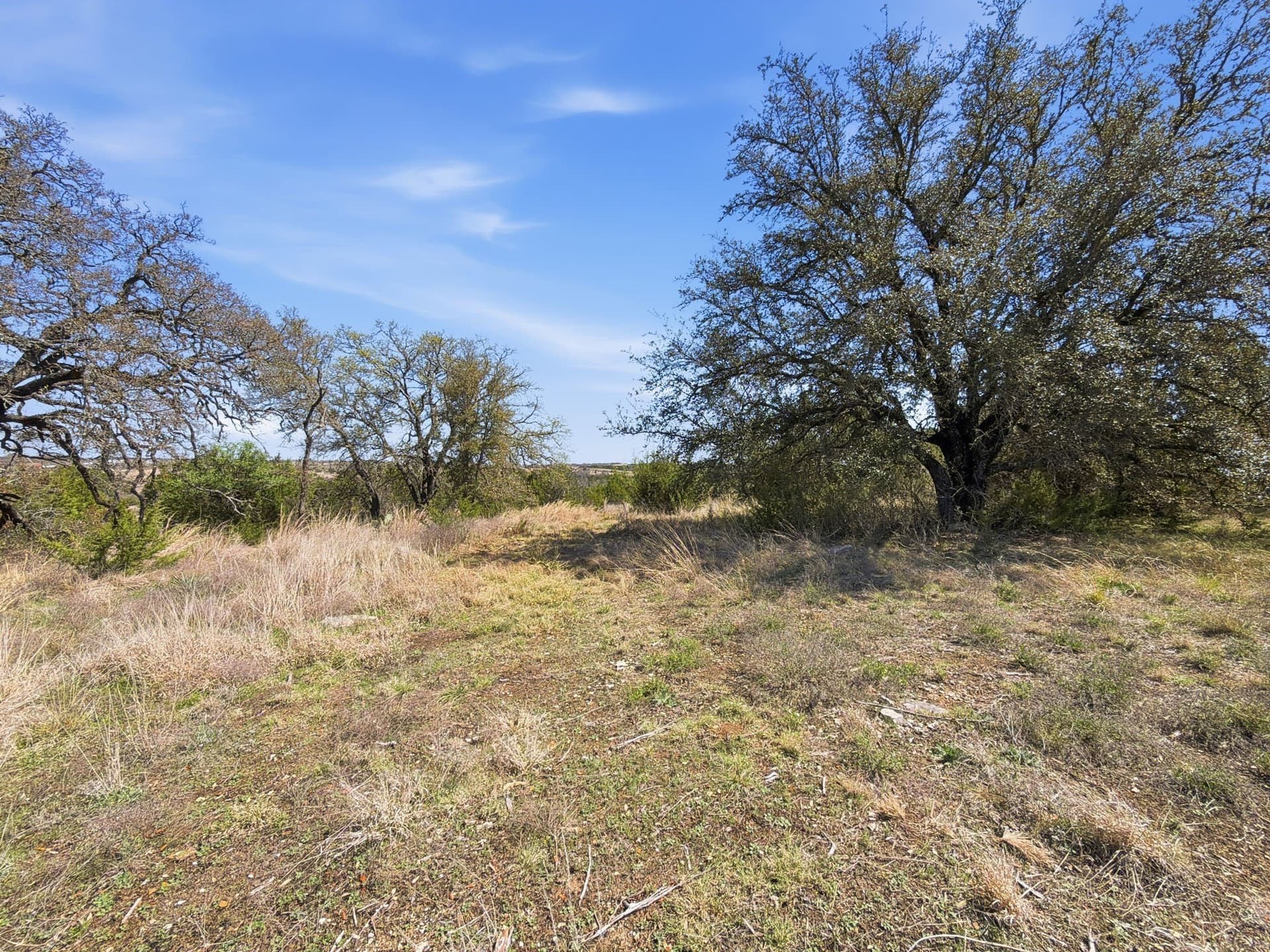 10.51 acres in Hamilton County - photo 6
