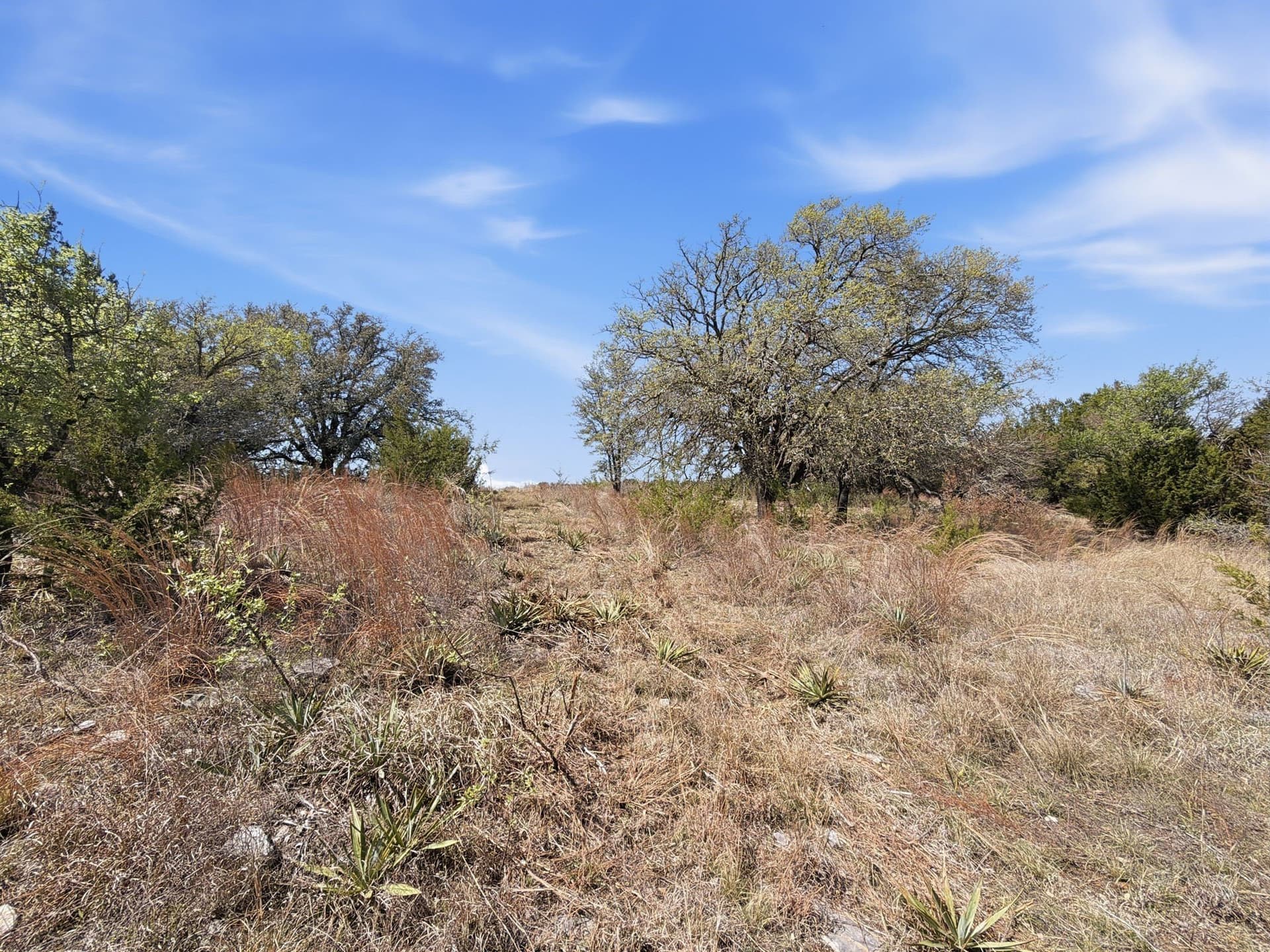 10.51 acres in Hamilton County - photo 19