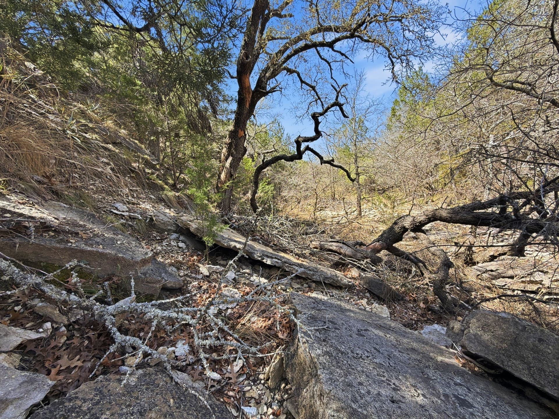 10.51 acres in Hamilton County - photo 7
