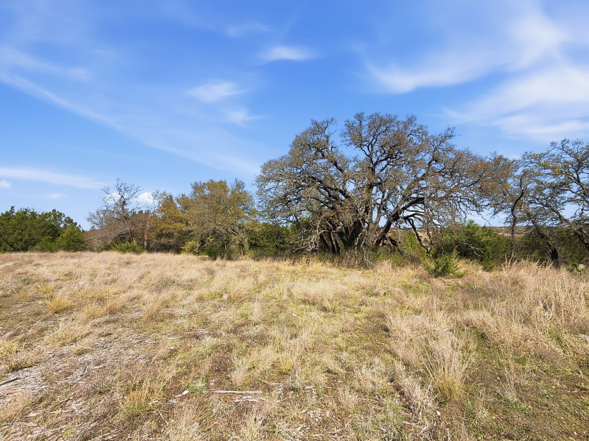 10.51 acres in Hamilton County - photo 17